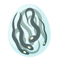 Gorgon Egg