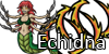 Echidna Unlock